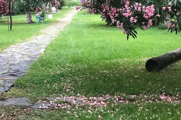 Çiçek Evler Tatil Köyü - Resim 20