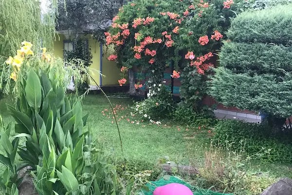 Çiçek Evler Tatil Köyü - Resim 5
