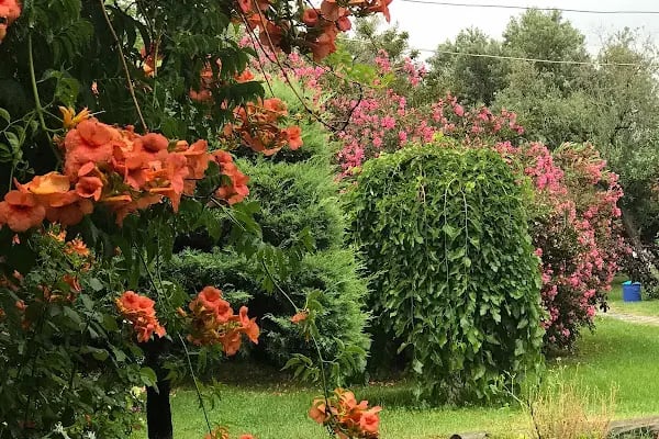 Çiçek Evler Tatil Köyü - Resim 8