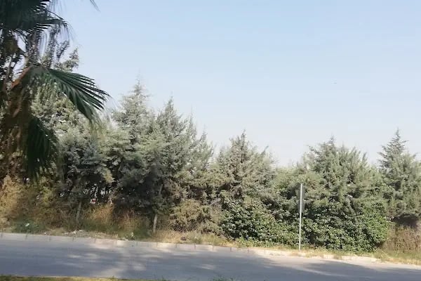 Akdeniz Belediyesi - Resim 3