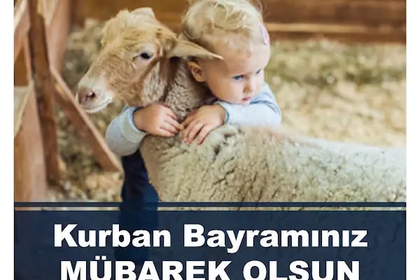 Sakarya Kelebek Yüzme Kulübü - Resim 15