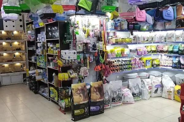 Boncuk petshop - Resim 2