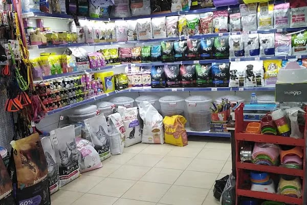 Boncuk petshop - Resim 13