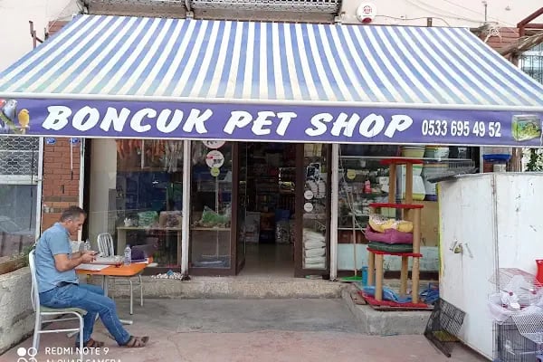 Boncuk petshop - Resim 7