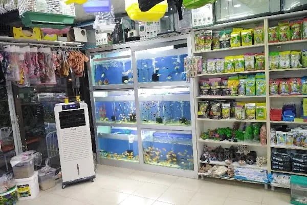 Boncuk petshop - Resim 5