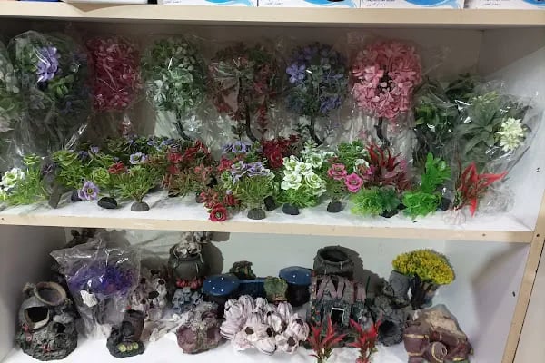 Boncuk petshop - Resim 3