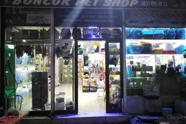 Boncuk petshop - Resim 4