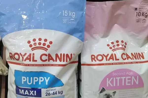 Boncuk petshop - Resim 20