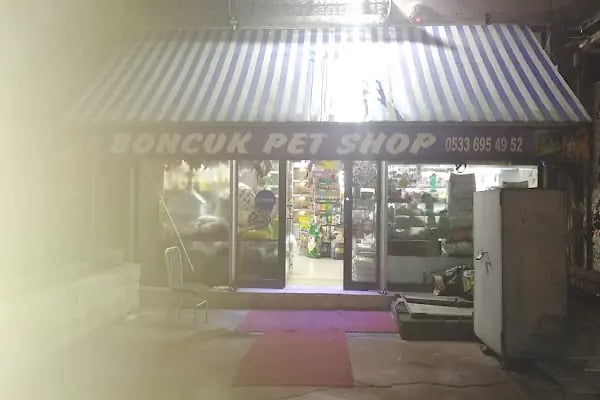 Boncuk petshop - Resim 18