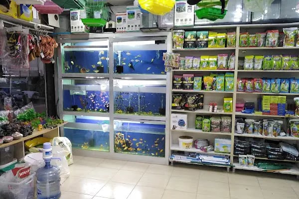 Boncuk petshop - Resim 8