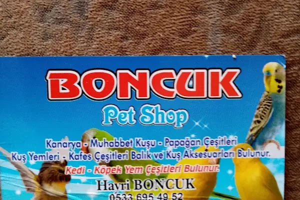 Boncuk petshop - Resim 19