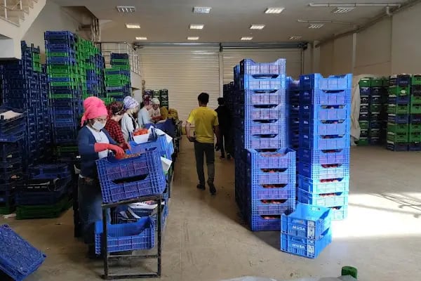 Hakim Ticaret - Resim 4