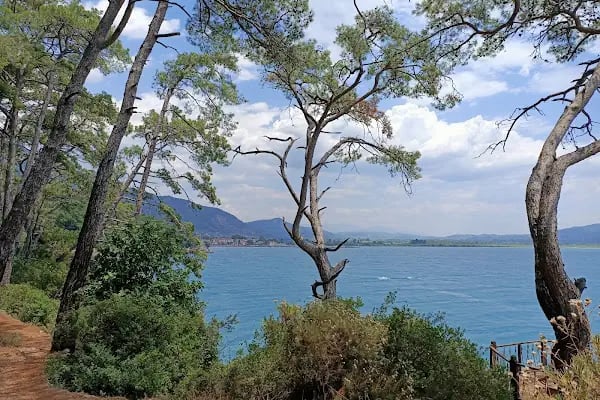 Akyaka Orman Kampı - Resim 5