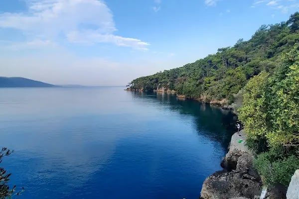 Akyaka Orman Kampı - Resim 13