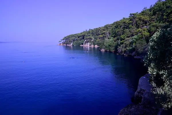Akyaka Orman Kampı - Resim 6