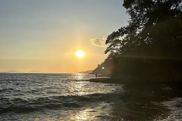 Akyaka Orman Kampı - Resim 14