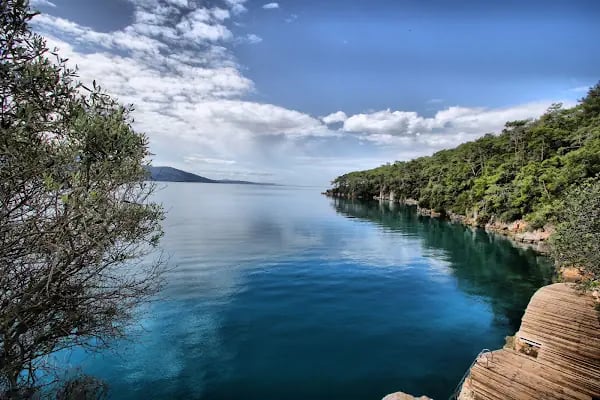 Akyaka Orman Kampı - Resim 9
