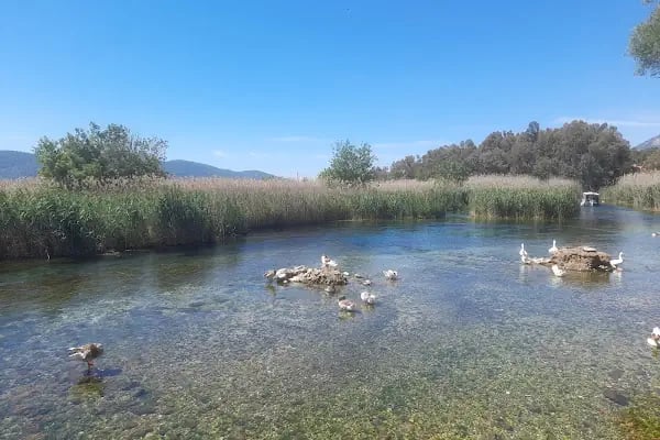 Akyaka Orman Kampı - Resim 17
