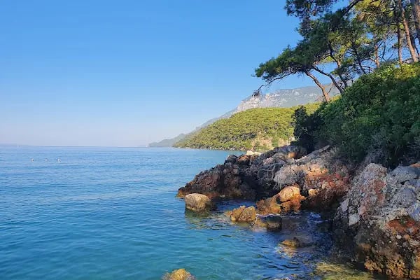 Akyaka Orman Kampı - Resim 16