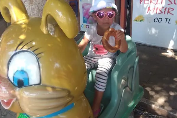 Ödemiş'li Ömer Usta'nın Yeri - Resim 12