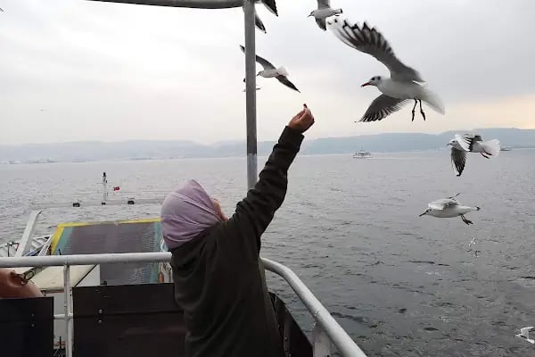 Negmar Tavşanlı Feribot İskelesi - Resim 18