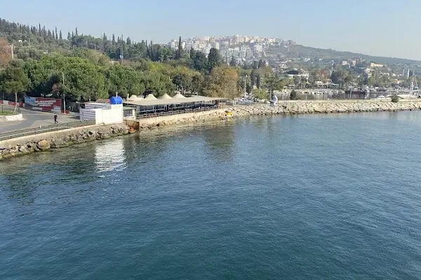 Negmar Tavşanlı Feribot İskelesi - Resim 10