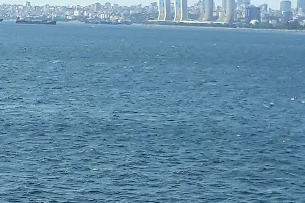 Negmar Tavşanlı Feribot İskelesi - Resim 3