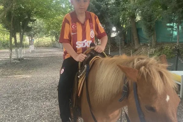 Atlıpark binicilik - Resim 4
