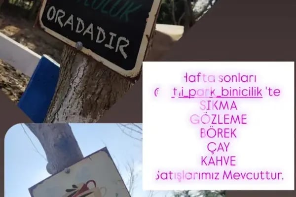Atlıpark binicilik - Resim 7