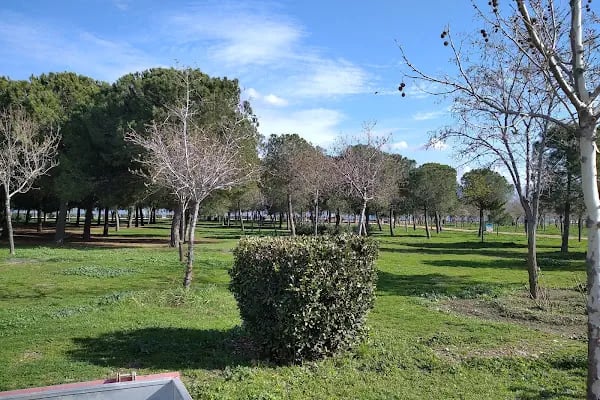 Engelliler Parkı - Resim 9