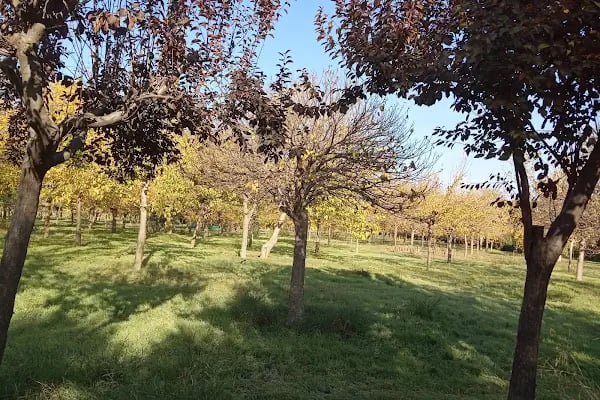 Engelliler Parkı - Resim 11