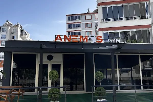 Anemos Gym - Resim 3