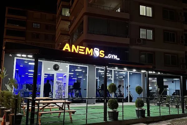 Anemos Gym - Resim 4