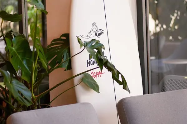 Surf Coffee x Alanya - Resim 18