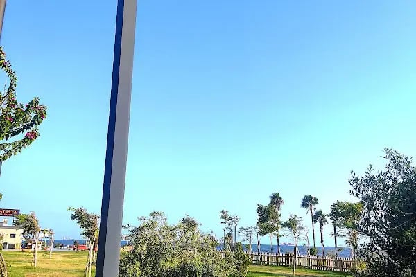 Mersin Millet Bahçesi. - Resim 14