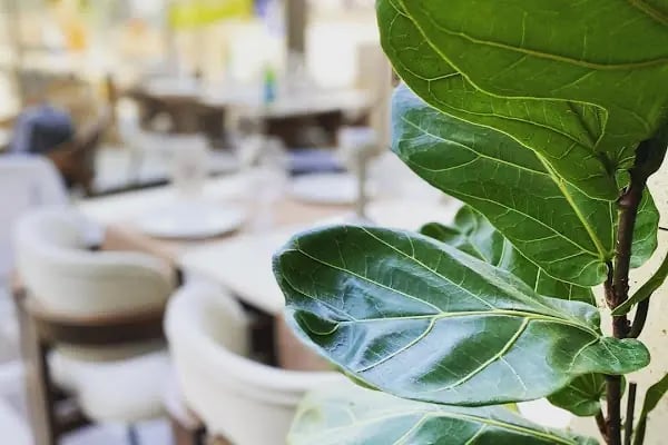 Kala Home Kitchen | Marina Mersin - Resim 10
