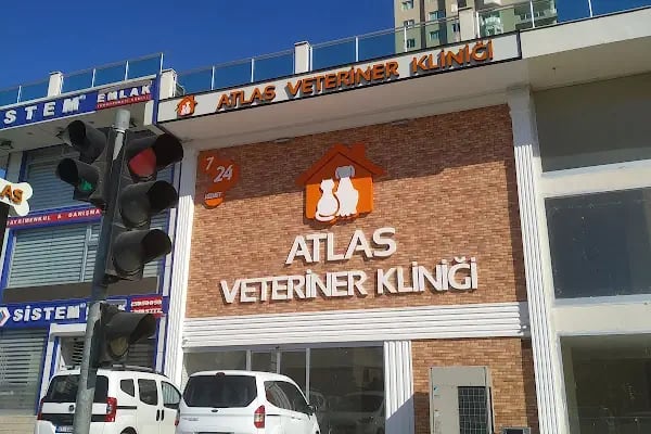 ATLAS VETERİNER POLİKLİNİĞİ - Resim 18