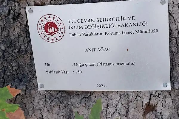 Peksimet Kadıkale Cami - Resim 18