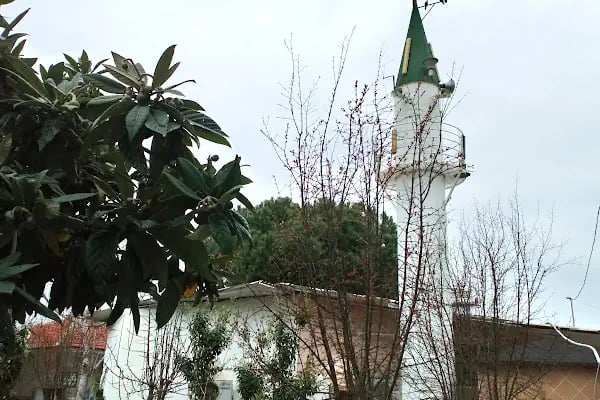 Peksimet Kadıkale Cami - Resim 11