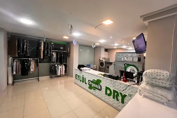 Eylül Dry Organik Kuru Temizleme - Resim 4