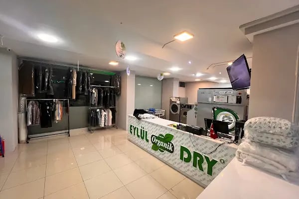 Eylül Dry Organik Kuru Temizleme - Resim 9