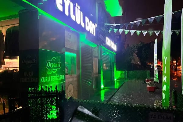 Eylül Dry Organik Kuru Temizleme - Resim 13