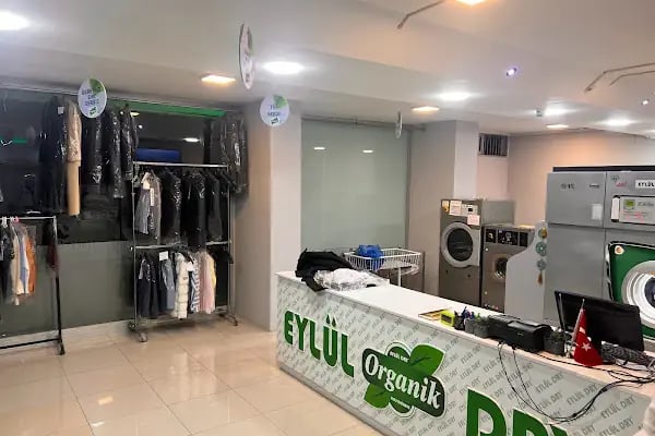 Eylül Dry Organik Kuru Temizleme - Resim 20