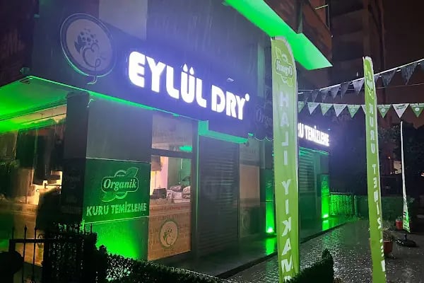 Eylül Dry Organik Kuru Temizleme - Resim 16