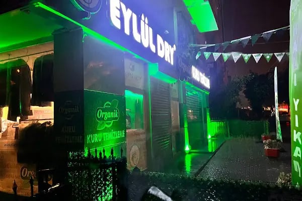 Eylül Dry Organik Kuru Temizleme - Resim 10
