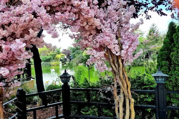 Japon Kyoto Parkı - Resim 16