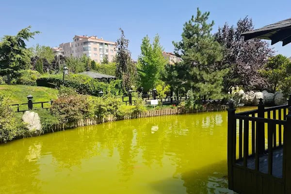 Japon Kyoto Parkı - Resim 14