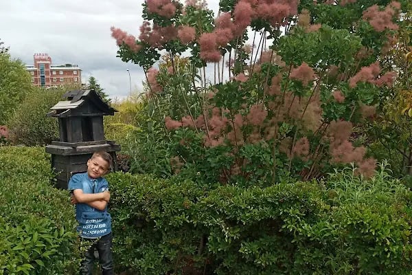 Japon Kyoto Parkı - Resim 17