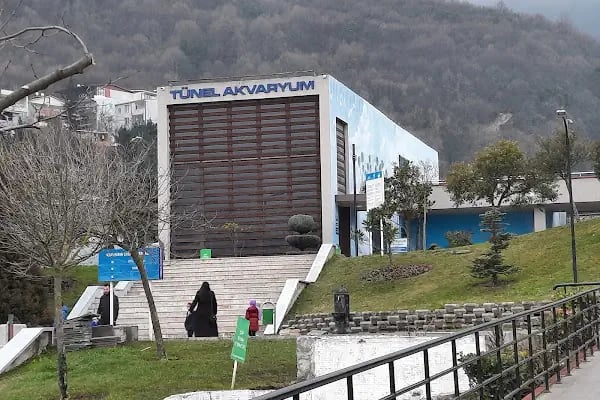 Deniz Akvaryum Ve Balık Tutma Göleti - Resim 9