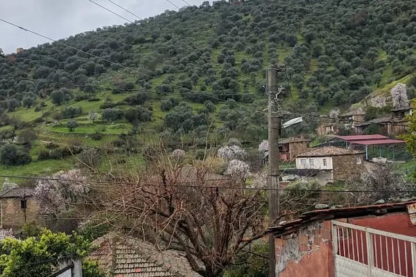 MAHALLE MUHTARLIĞI - Resim 4